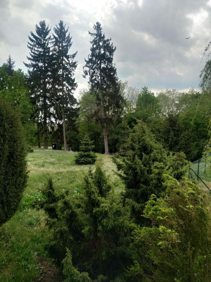Apartament Na Gorce Лагув Экстерьер фото